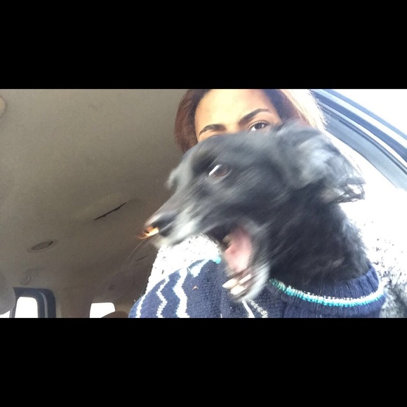 Meet your Posher, Kiya🖤 - Picture 5 of 5